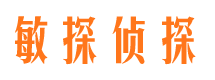 花山市侦探调查公司